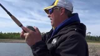 Sight Fishing for Lake Nipigon Pike