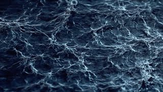 Sea Shepherd No Fishing Nets
