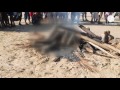 Europeans burnt to death in Madagascar over organ trafficking claims