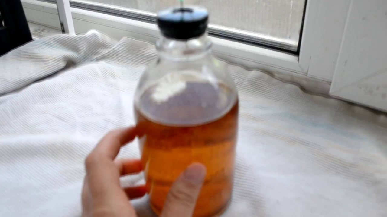 Как сделать мицелий самому дома Как сделать мицелий самому дома