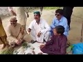 Funny Video in Sindhi 18+