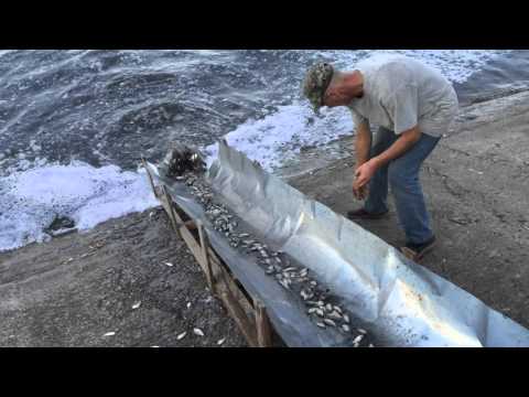 рыбалка на травянском водохранилище 2016 рыбалка на травянском водохранилище 2016