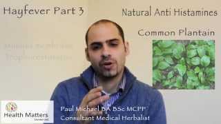 Health Matters London - Hayfever Part 3: Natural anti-histamines