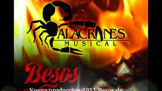Watch Alacranes Musical Yo Te Necesito video