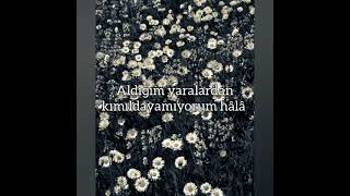 Mavi Gri - Kır Çiçeğim Sözleri