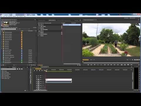 Freeze Frame In Adobe Premiere Cc Tutorial