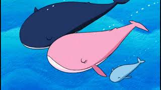 11 Whales Sneezes