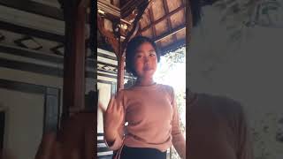 Bocil