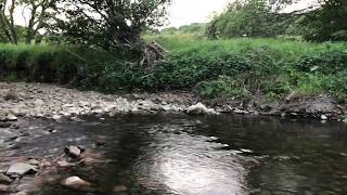 Running Rev. Living Water