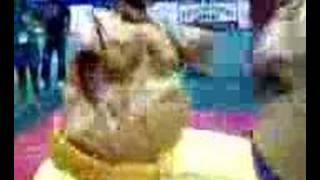 Sumo Fight
