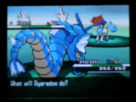 pokemon platinum action replay shiny wild