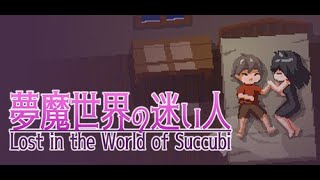 Lost In The World Of Succubi - Pc Gameplay
