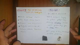 5. Sinif Fen Bi̇li̇mleri̇ Elektri̇k Devre Elemanlari Hale Hoca