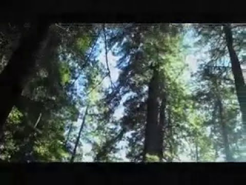 Goddamn Hiv Video