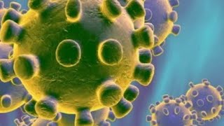 Israel Health Ministry With Coronavirus Message In Yiddish
