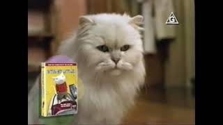 Opening To Stuart Little Vhs 2000, Australia