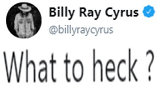 Aksually Weird Celebrity Tweets
