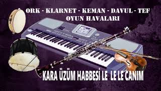 Kara Üzüm Habbesi̇ Le Le Le Canim Oyun Havasi Ork Klarnet Keman Davul Tef Oyun Havalari