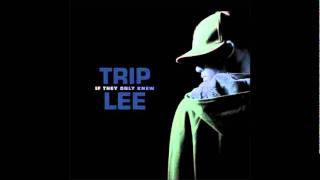 Watch Trip Lee Follow The Crowd video