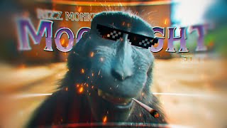 MOONLIGHT 🌕| The BEST Monkey RIZZ Edit You'll EVER See  (4K)