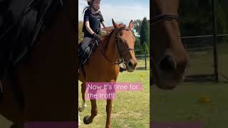 Ride With Me On The New Horse Hope U Enjoyed