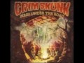 GrimSkunk - Psychedelic Wonderdrug