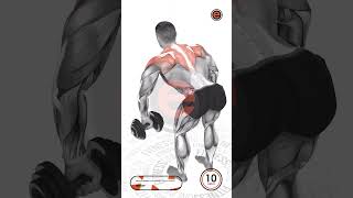 Bent-Over Dumbbell Row Standing And Both-Handed