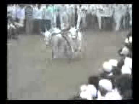 bailgada sharyat Sripati balaji pokharkar yanchi nad khula...