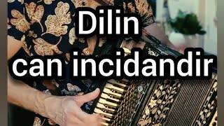 dilin can incidandir/ Shayan Afrand
