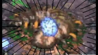 Cerebrates Actually Can Fight