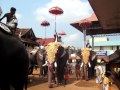 Thirunakkara Mahadeva Temple-Procession