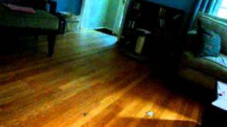 Watch Brian Wilson Barnyard video