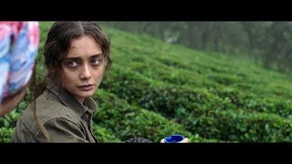 Trailer Sibel Ovdf