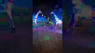Dancing With Giraffes & Catterpillers Daksha S Sweetest Ramoji Moments