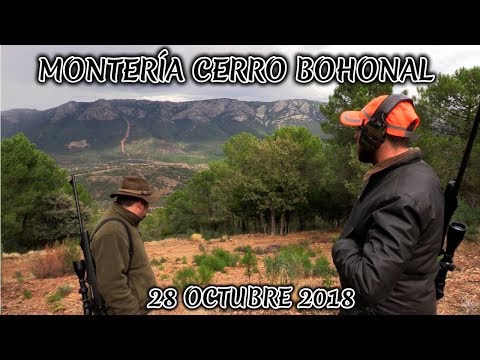 MONTERÍA CERRO BOHONAL 2018. PUERTOLLANO ( HUNTING )