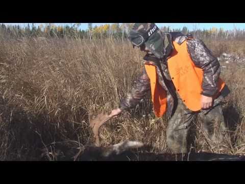 alex moose guide gouthro