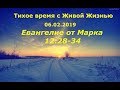 Тихое время с Живой Жизнью: от Марка 12:28–34 (06022019)