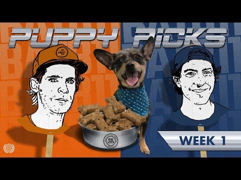 BATB 11: Puppy Picks Week 1