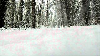Watch Frozen Autumn Winter video