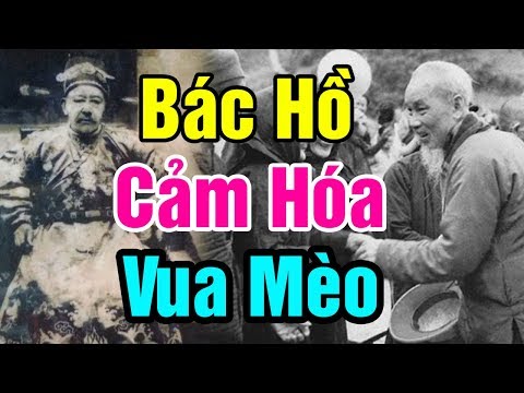 Vua Mèo VƯƠNG CHÍ SÌNH – Thực Hư Chuyện Vua Mèo Được BÁC HỒ Kết Nghĩa Anh Em Và Dinh Thự Bạc Tỉ