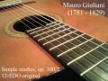 Mauro Giuliani study op. 100, No. 2 in 19 tone equal temperament