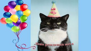 Открытки ко дню рождения с котами Открытки ко дню рождения с котами