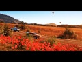 Forza Horizon 2 - Freedom - Paul Walker Tribute