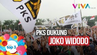 Viva Top3 Pks Dukung Joko Widodo, Demi Lovato, Dan Wni Diperkosa Di Belanda
