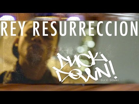 Duck Down Video