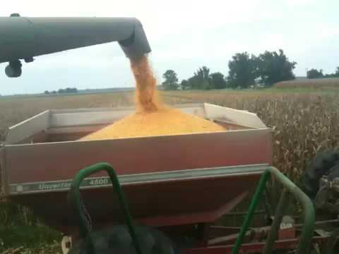 Bushel Of Corn Bushel Of Corn