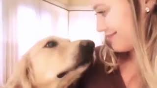 Hilary Duff Junto A Uno De Sus Perros