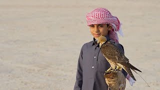 2023Te Qatar 365In En Iyileri Şahincilik, Pop Kültürü Ve Kore Barbeküsü