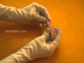 Origami Porcupine (page 1). YouTube Animal Video Tutorials