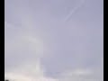 image Fenomena Alam Awan Burung 6010